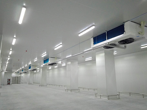 河北周黑鸭新工厂项目1#车间水蜜桃在线视频建造工程案例