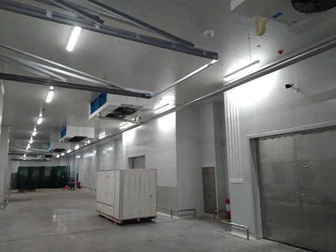 河北周黑鸭新工厂项目1#车间水蜜桃在线视频建造工程案例