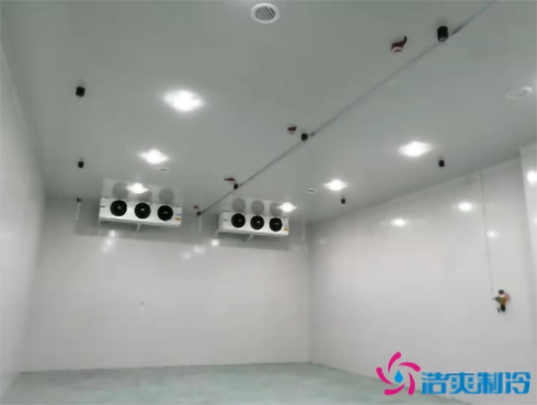 上海巴洛美巧克力食品水蜜桃在线视频建造设计