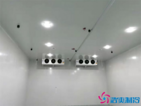 上海巴洛美巧克力食品水蜜桃在线视频建造设计